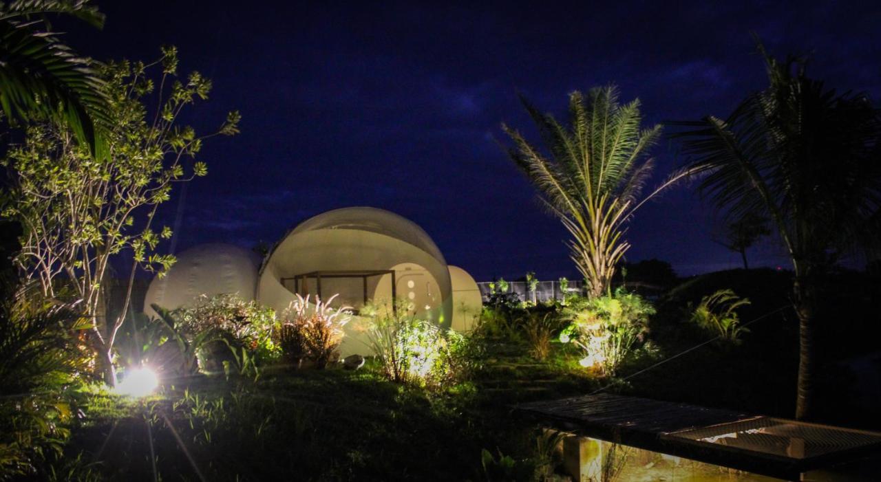 Green Land Bubble Glamping Cabarete Exterior foto