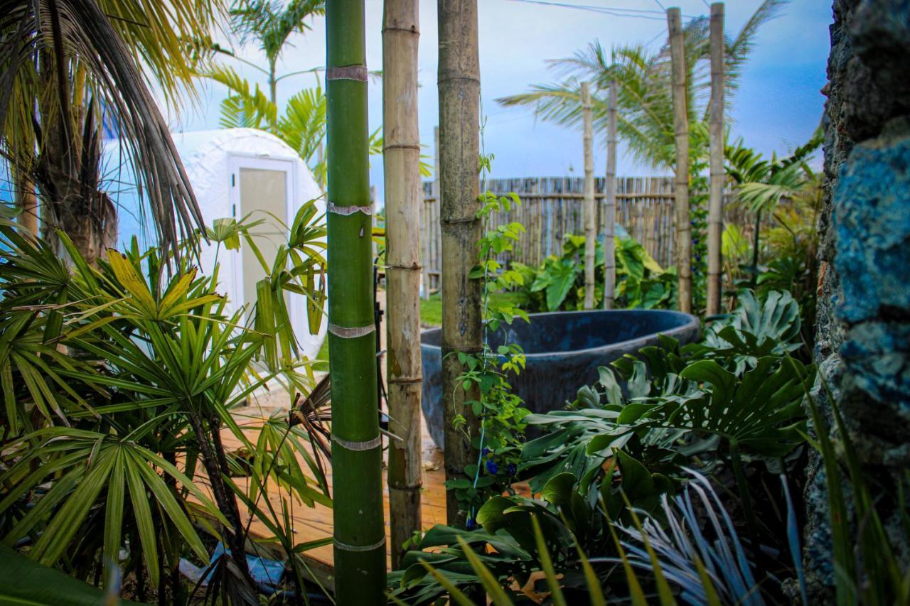 Green Land Bubble Glamping Cabarete Exterior foto