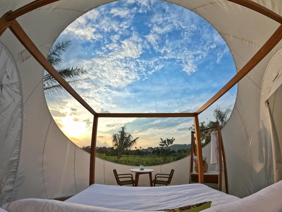 Green Land Bubble Glamping Cabarete Exterior foto