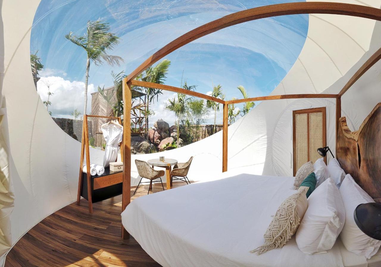 Green Land Bubble Glamping Cabarete Exterior foto