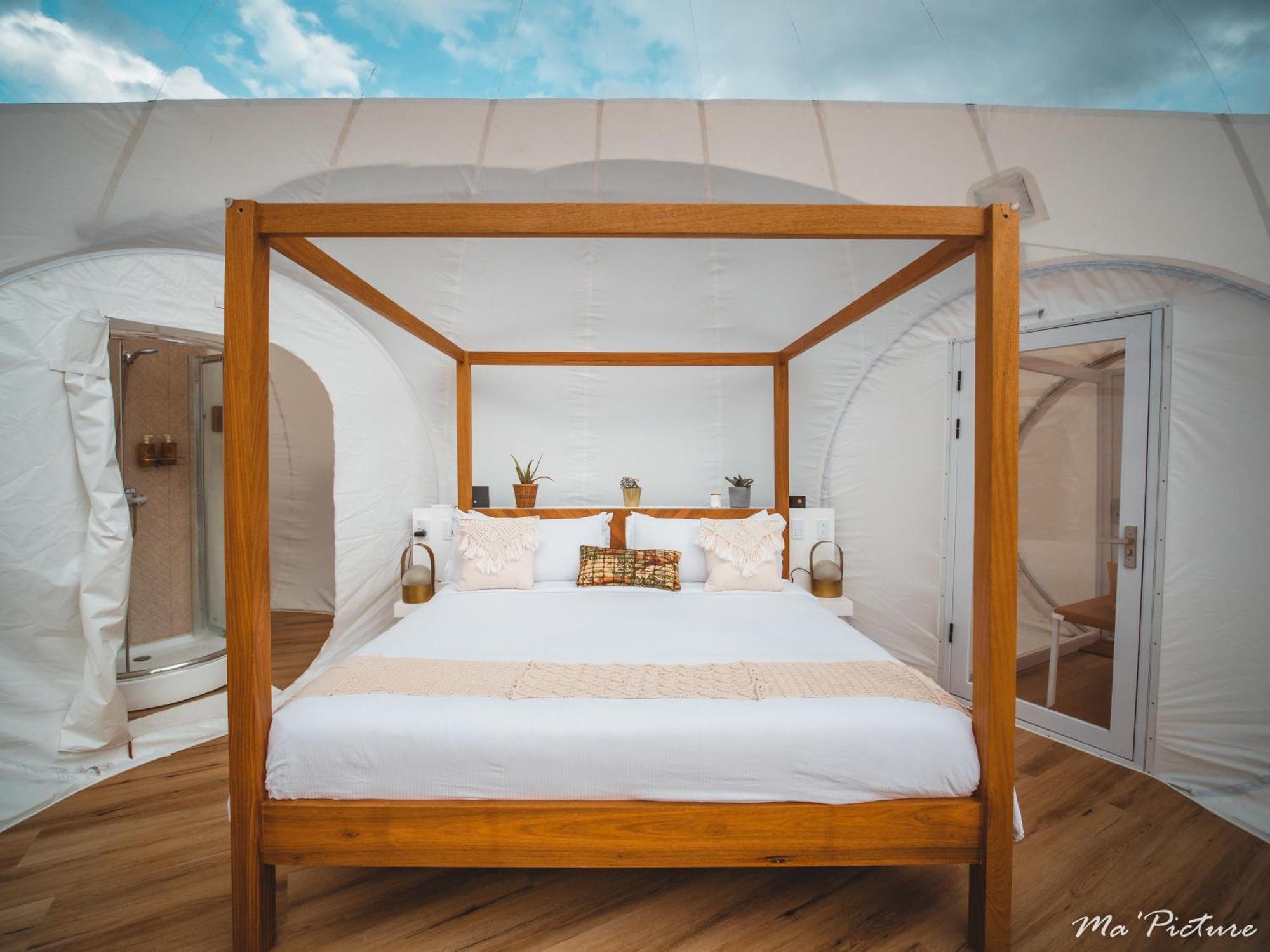 Green Land Bubble Glamping Cabarete Zimmer foto
