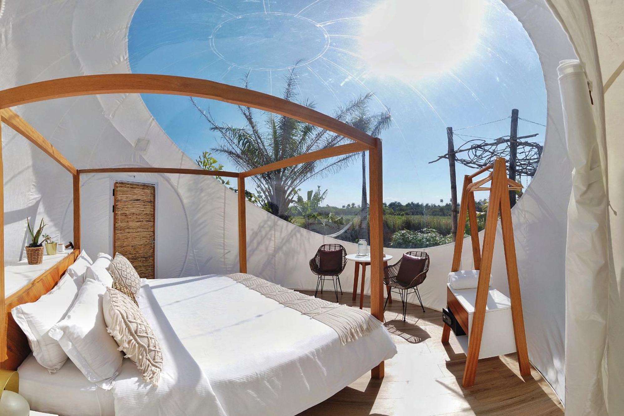 Green Land Bubble Glamping Cabarete Zimmer foto
