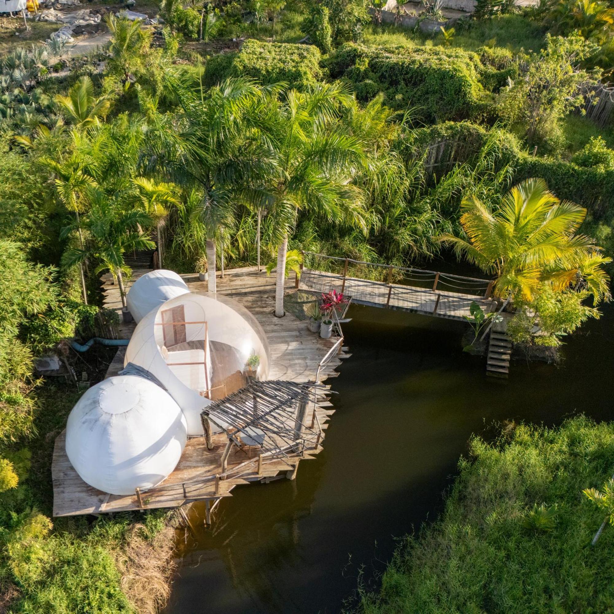 Green Land Bubble Glamping Cabarete Exterior foto